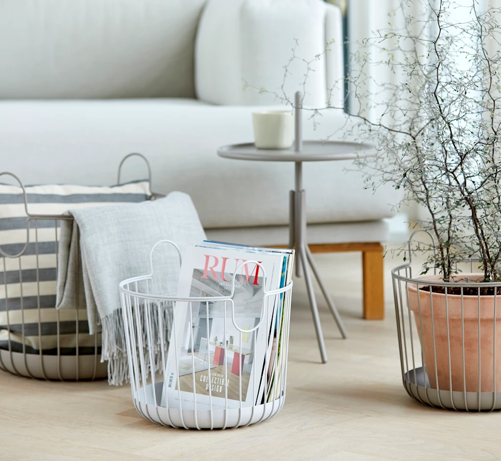 Inu kurv, Soft Grey Inu kurv, Soft Grey